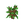 minecraft:oak_sapling