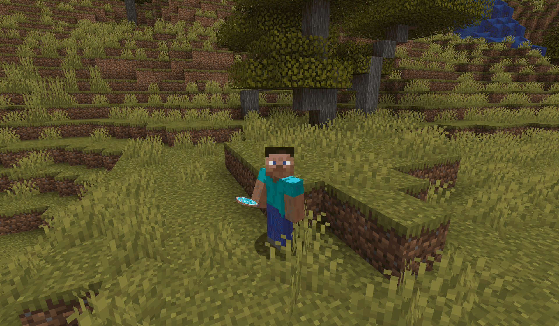 Lucky Diamond Coin - media 2