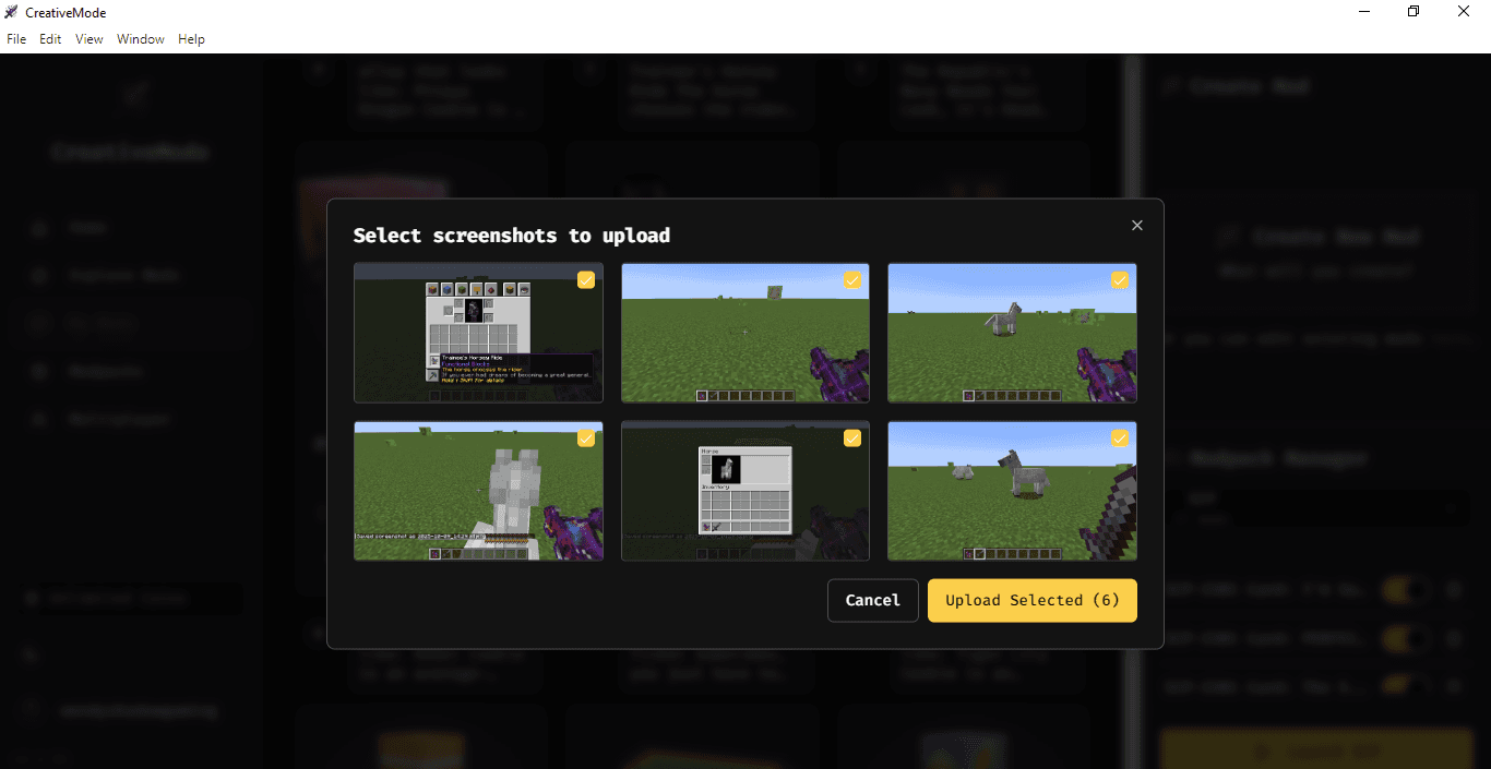 Trainee's Horsey Ride - media 3