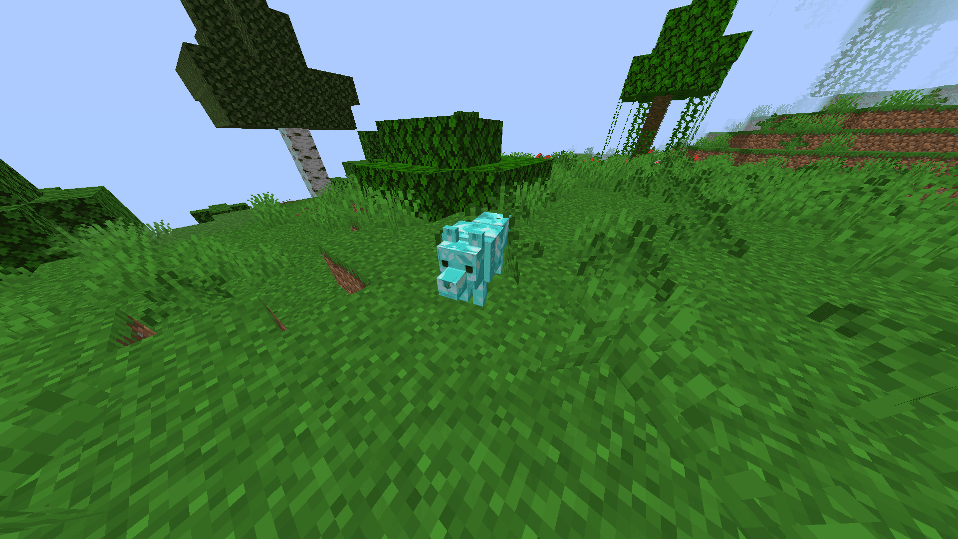 Diamond Wolf - media 4