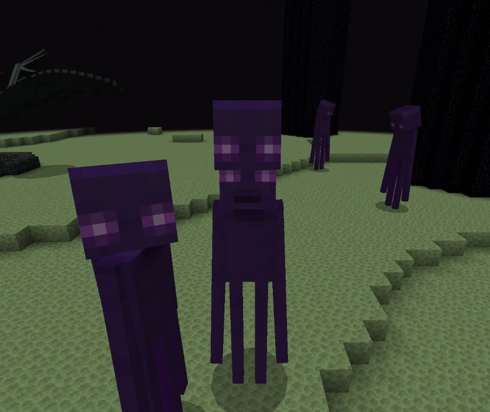 The ender titan - media 2