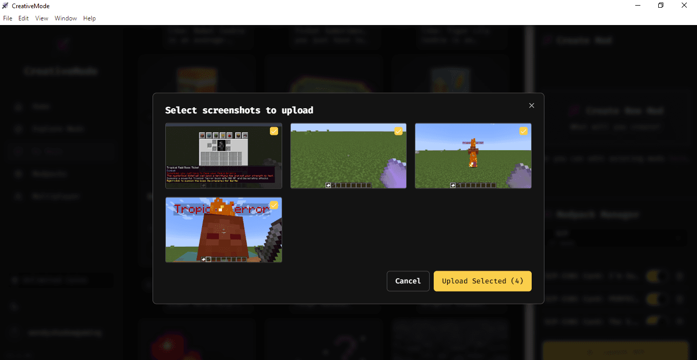 Tropical Raid Boss Ticket - media 3