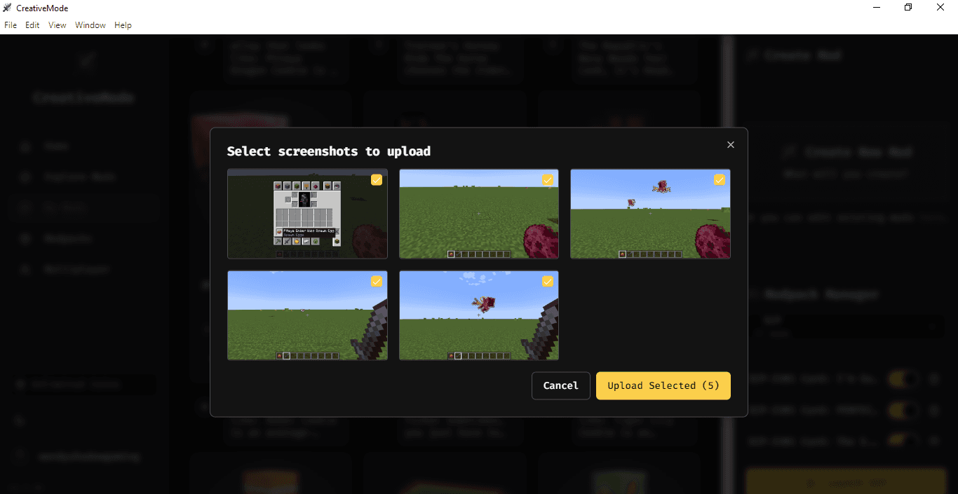 Pitaya Dragon Cookie - media 5